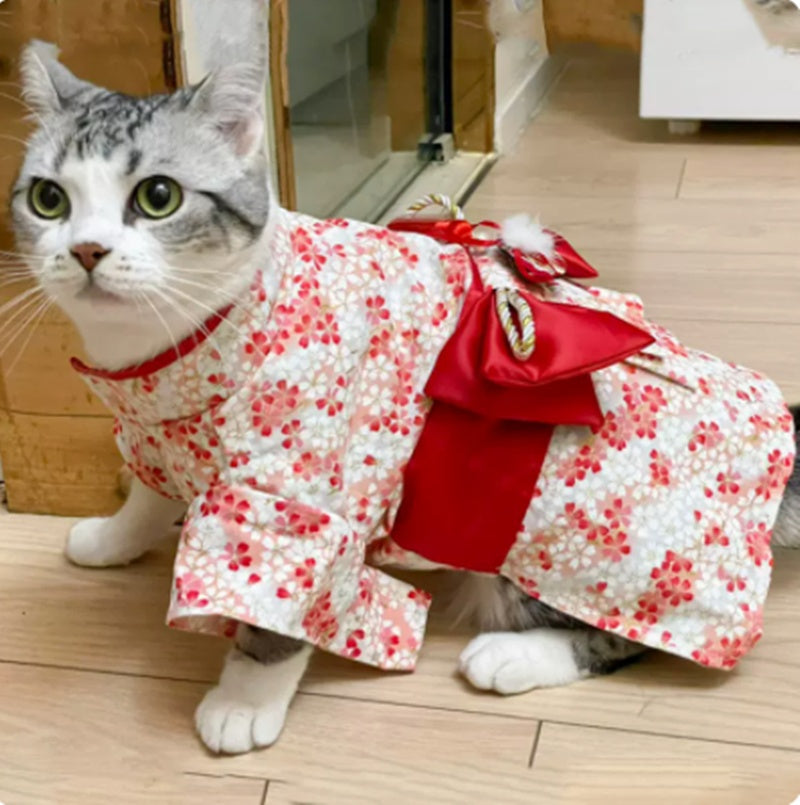 Thin Kimono Hairless Pet Dress