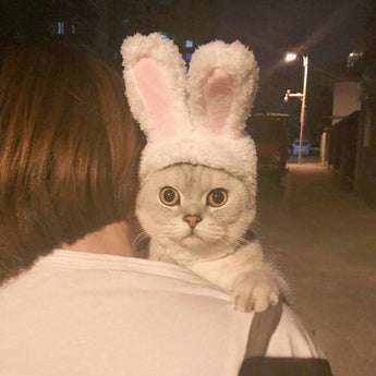 Funny Pet Rabbit Hat