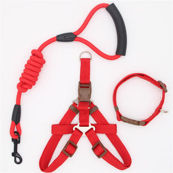 Pet Supplies Simple Dog Leash