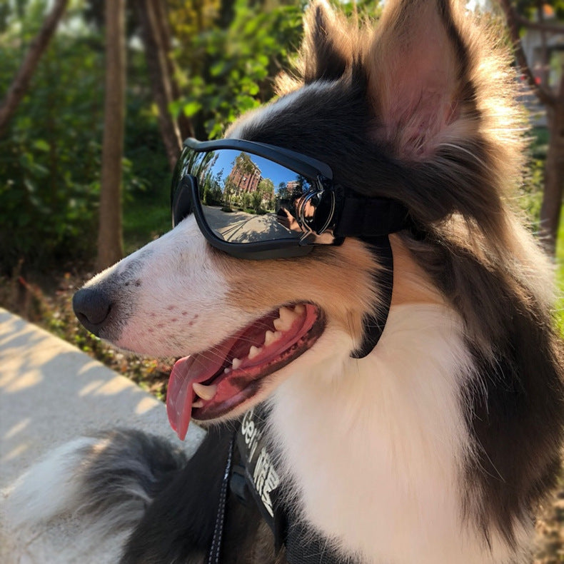 Pet Sunglasses