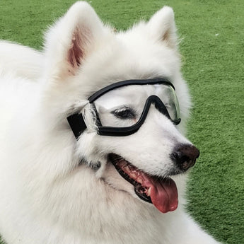 Pet Sunglasses