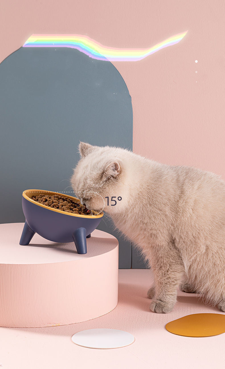 Bowl With Stand for Pet