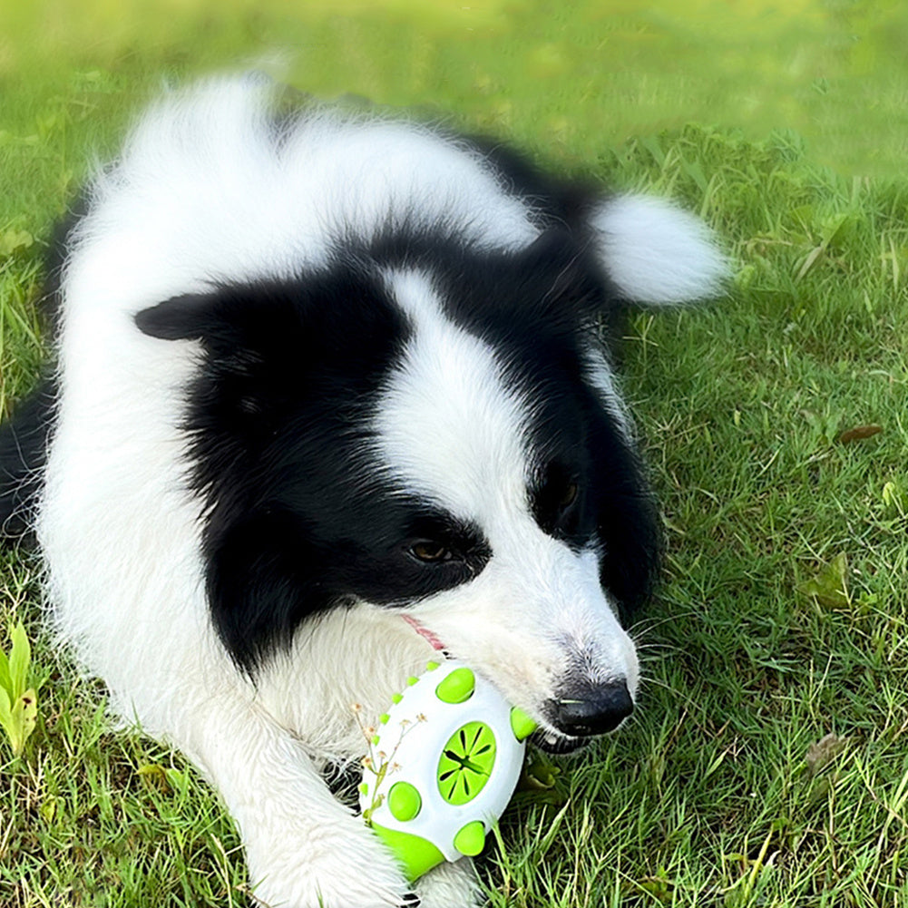 Hedgehog Dog Toys