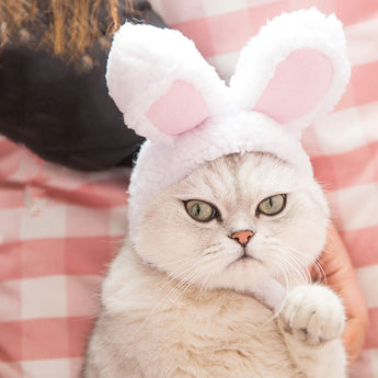 Funny Pet Rabbit Hat