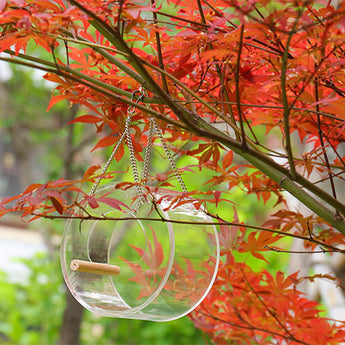 Acrylic Bird Food Box