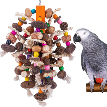 Large Parrots Nibbling On Toy Fruit Skewers