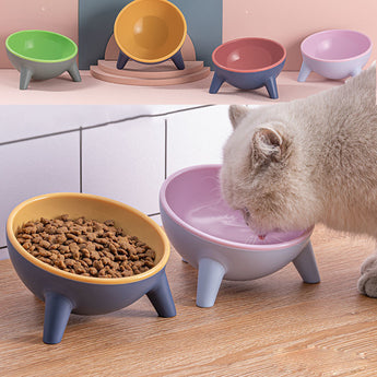 Bowl With Stand for Pet