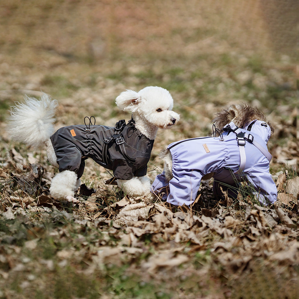 Pet Raincoat