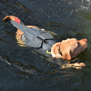 Cosplay Dog Swimsuit