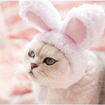 Funny Pet Rabbit Hat