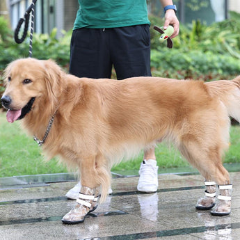 Waterproof Shoes For Pets