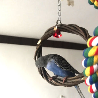 Ring Chewing Toy Bird Cage