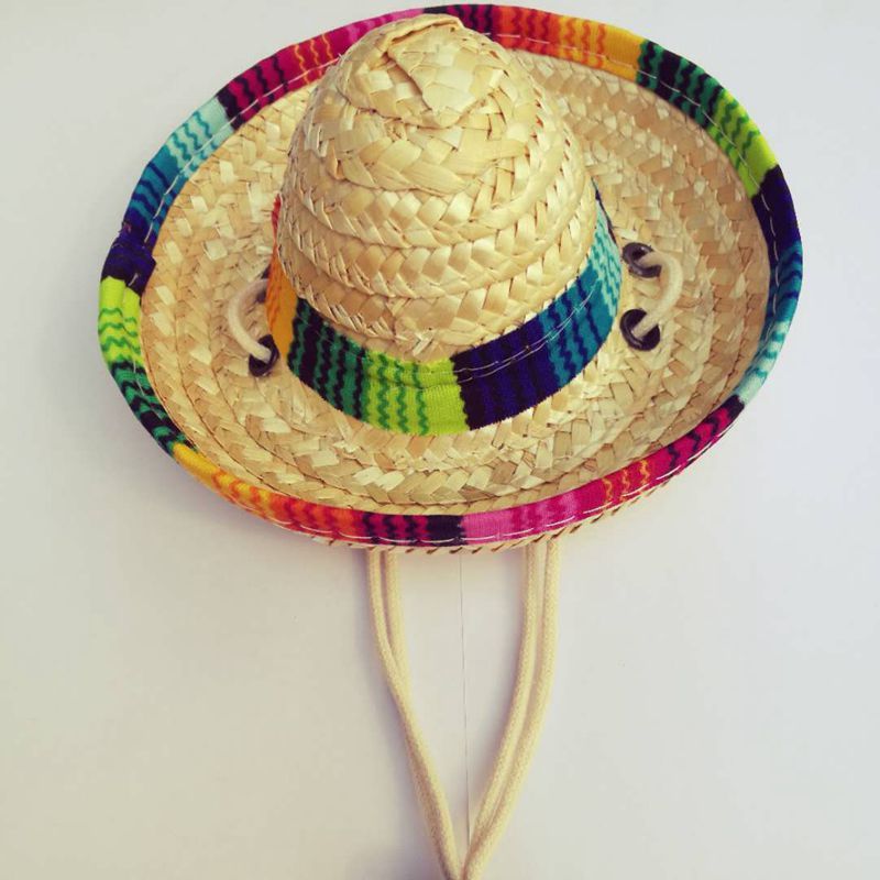 Mexican Pet Sun Hat