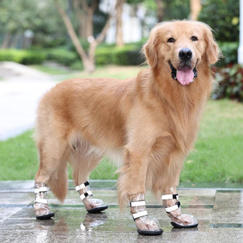 Waterproof Shoes For Pets