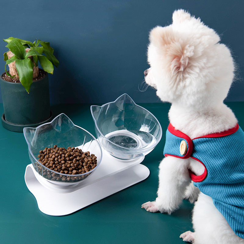 New Inclined Transparent Single Pet Bowl